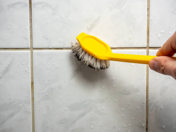 Best Commercial Mold Removal  in Atascocita, TX