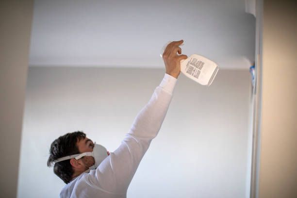 Best Office Mold Removal Services  in Atascocita, TX