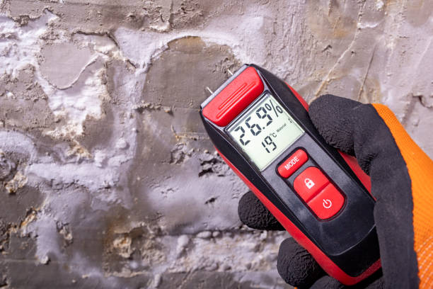Best Residential Mold Removal  in Atascocita, TX