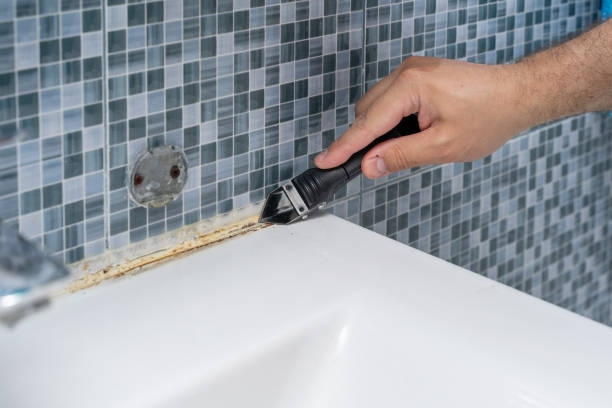 Best Mold Remediation  in Atascocita, TX